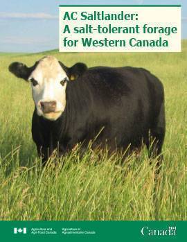 Forage Booklet Cover